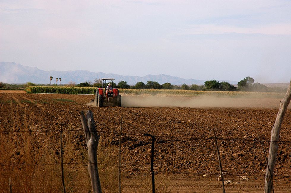 Mexico Farm Workers Win Pay Hike In Landmark Deal, But Fall Short Of Goal