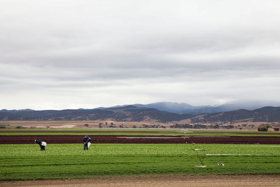 Just How Green Are State Governments?