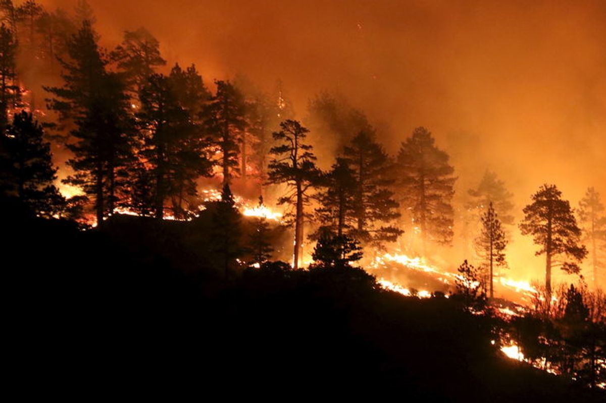 How Trump And Musk Have Increased The Risk Of Catastrophic Wildfires