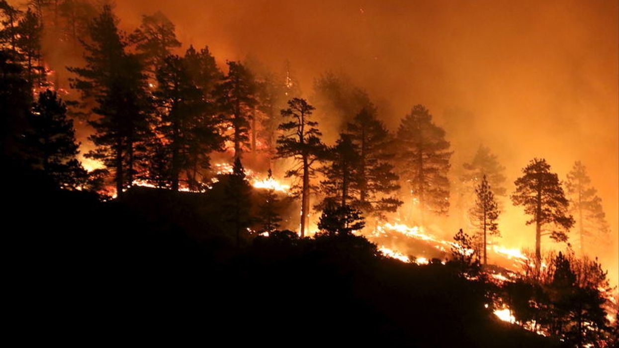 How Trump And Musk Have Increased The Risk Of Catastrophic Wildfires