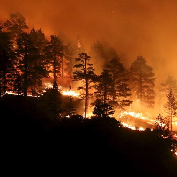 How Trump And Musk Have Increased The Risk Of Catastrophic Wildfires