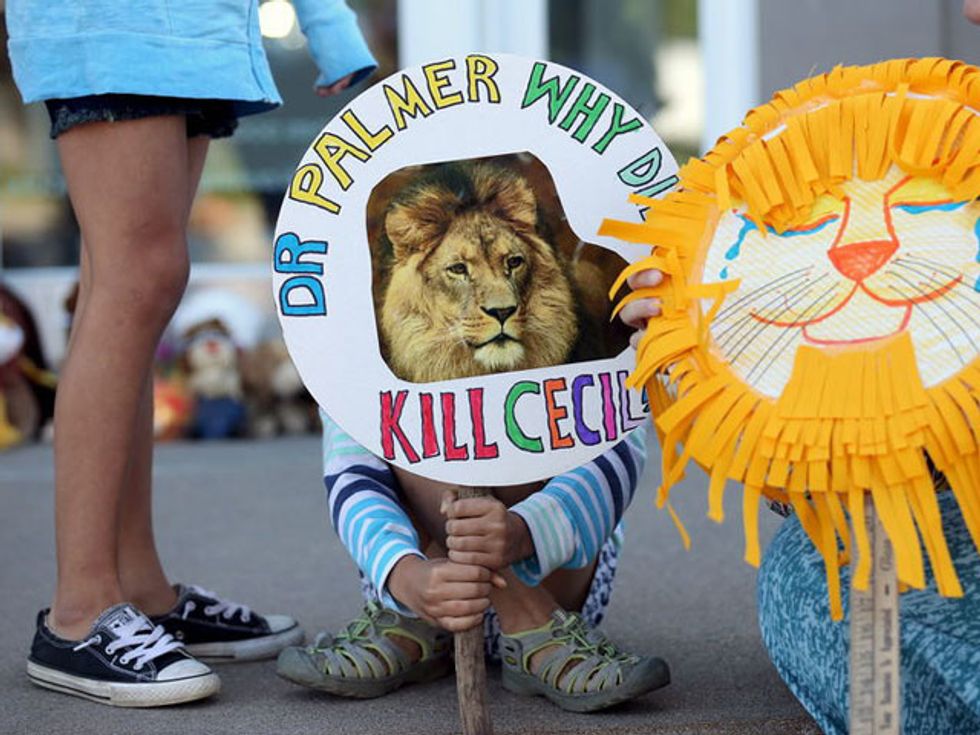 Zimbabwe Calls For Extradition Of Cecil The Lion’s Killer