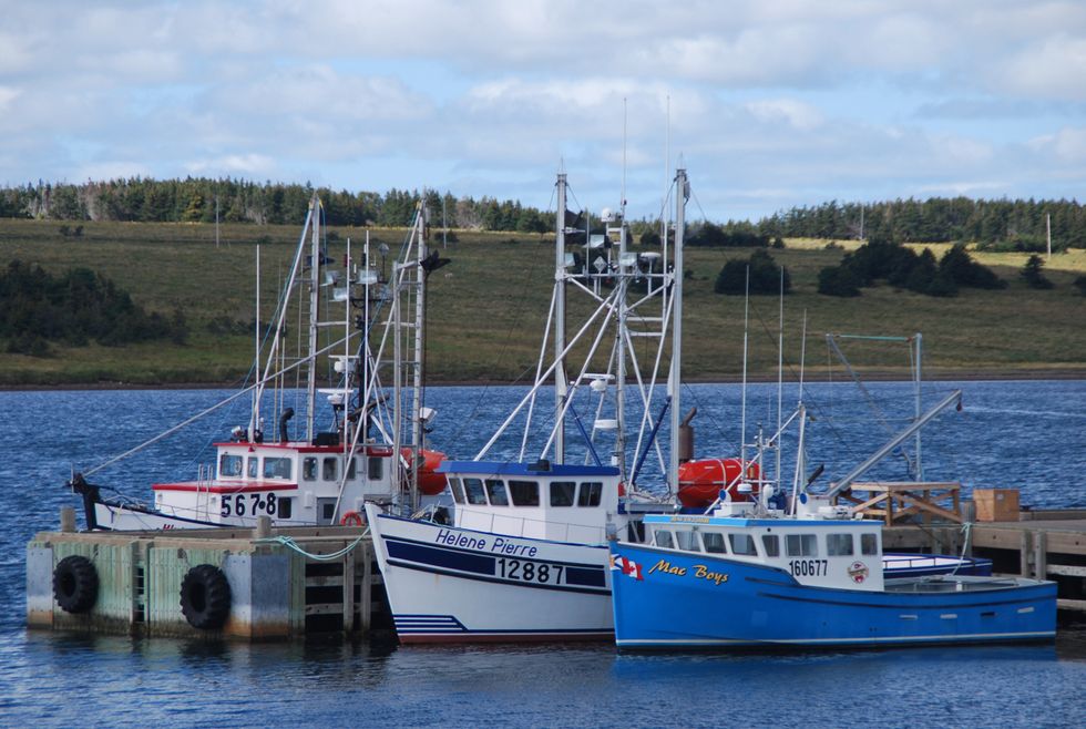 The Thrifty Traveler: Making The Most Of Cape Breton Highlands National Park