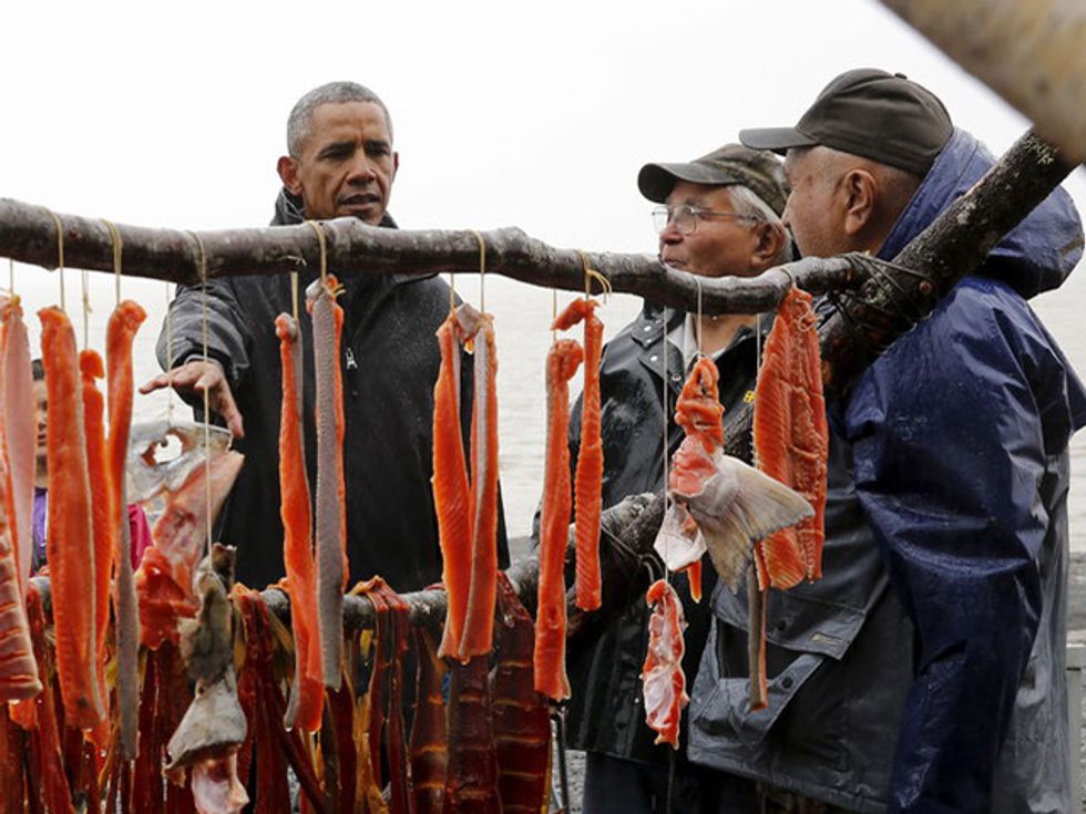 Obama’s Arctic Adventure Ends With Sinking Village, Fish Spawn