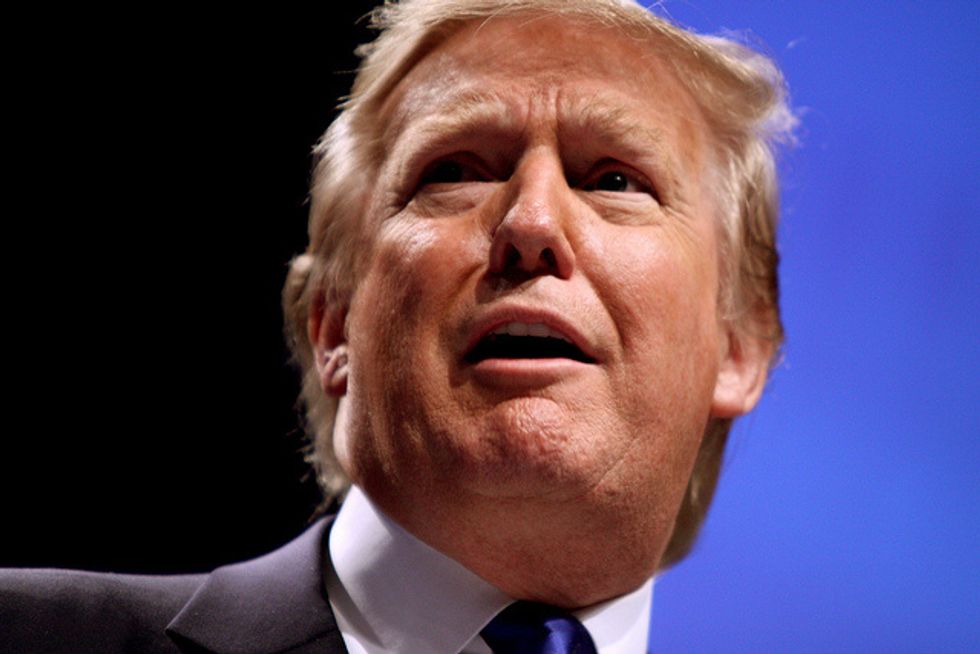 An Engineer Explains Why Trump's Wall Is So Implausible - Vimarsana News