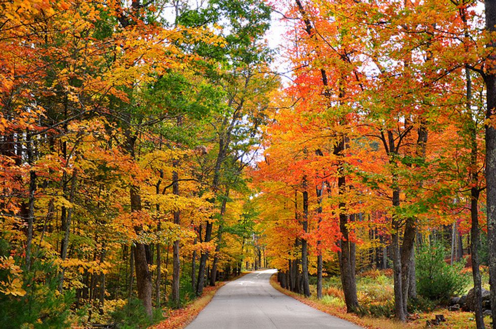 Fall Foliage Season Shaping Up To Be Beauty