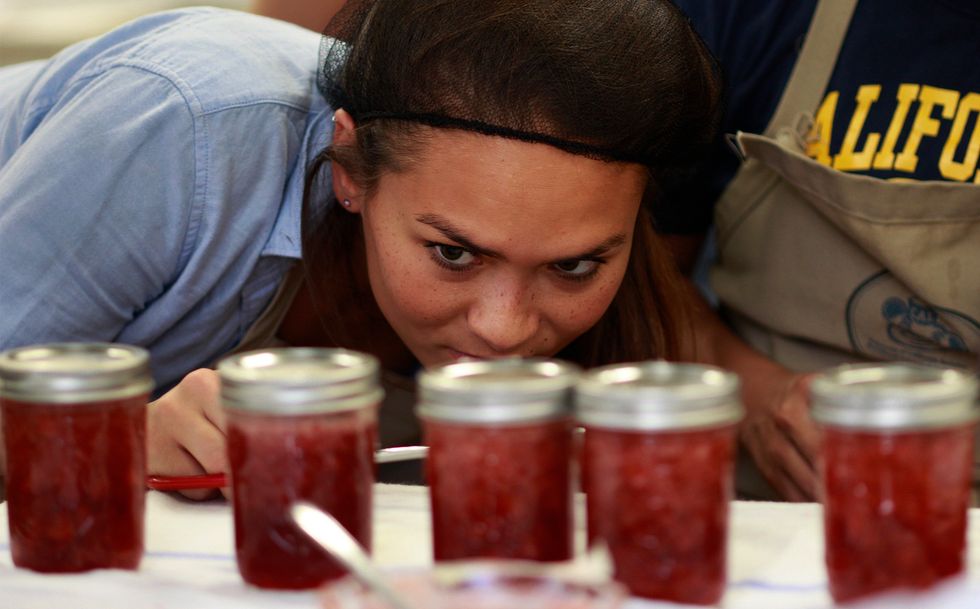 Foodie Culture Is Spurring Degree Programs At U.S. Colleges