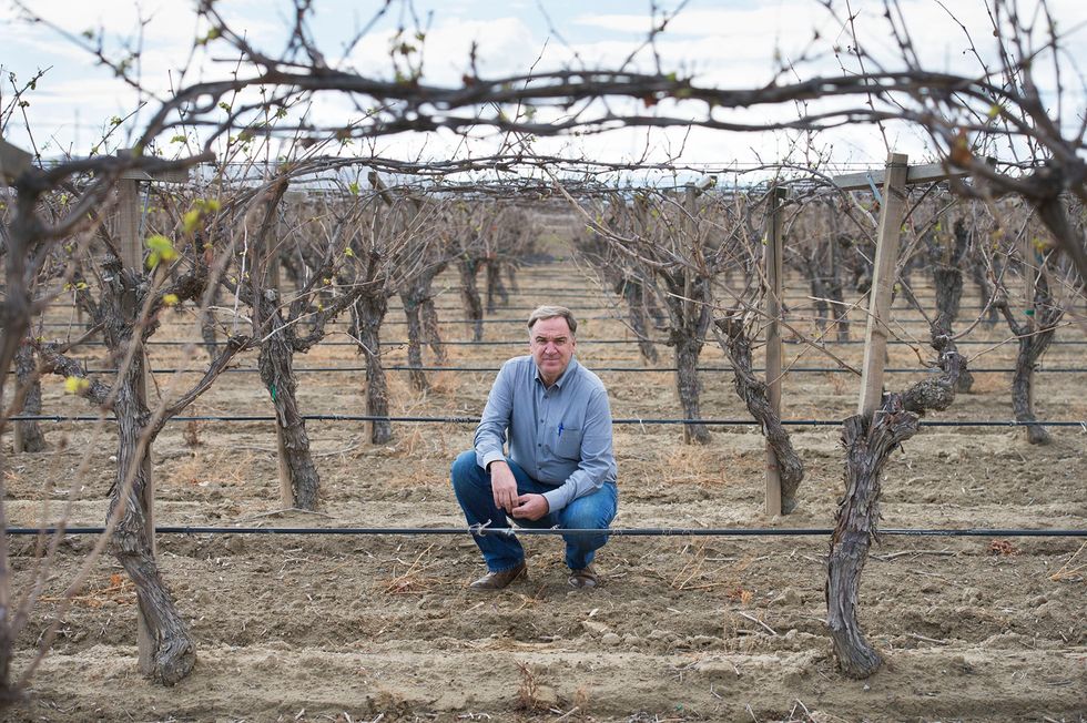 More California Farmland Could Vanish As Water Shortages Loom Beyond Drought