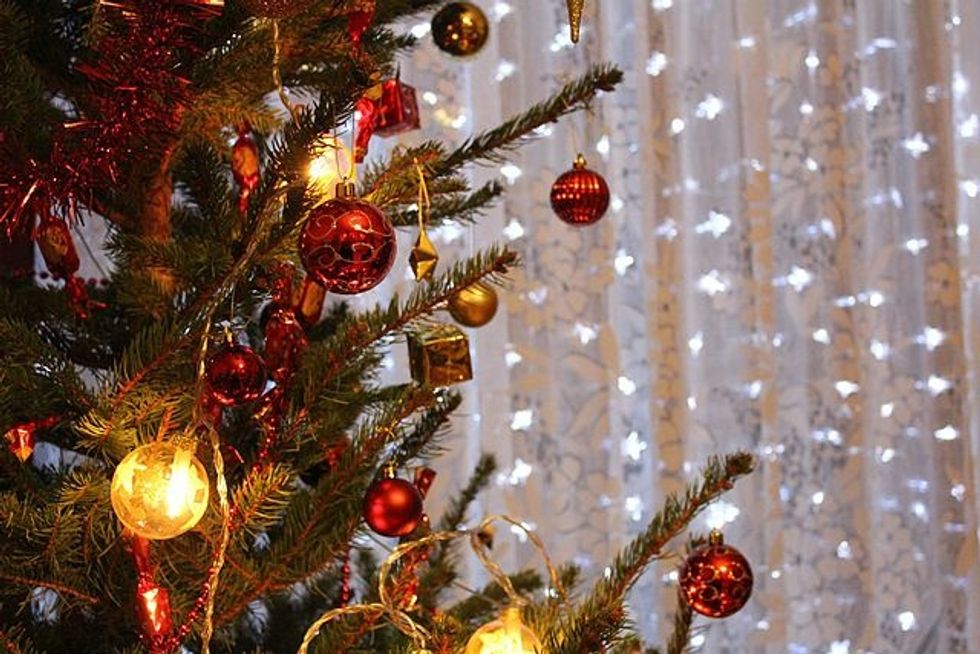 5 Things To Tell Your Republican Relatives At Christmas