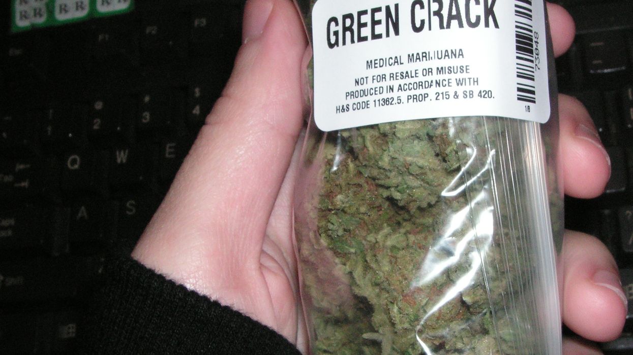 MAGA Boosters Bummed As Trump Floats Looser Marijuana Regulation