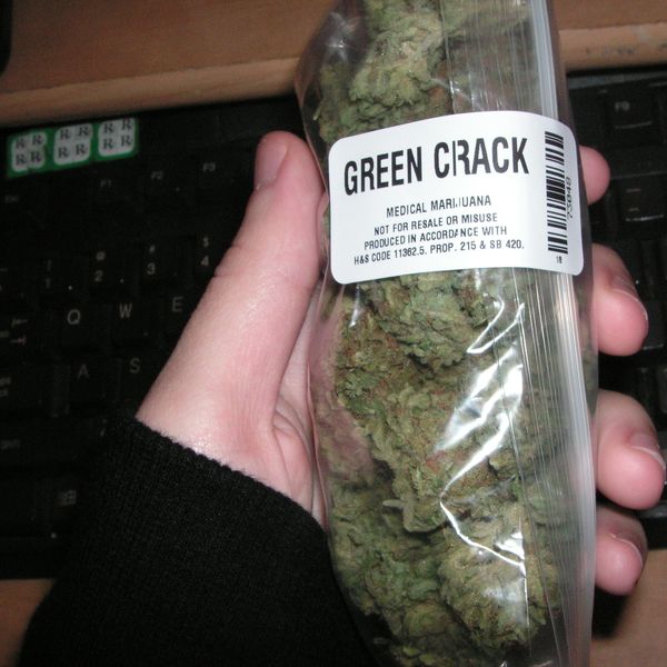 MAGA Boosters Bummed As Trump Floats Looser Marijuana Regulation