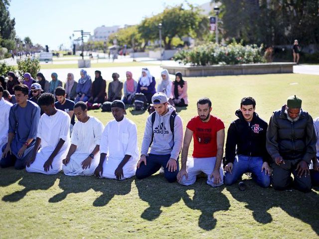 Muslim people praying in a park.