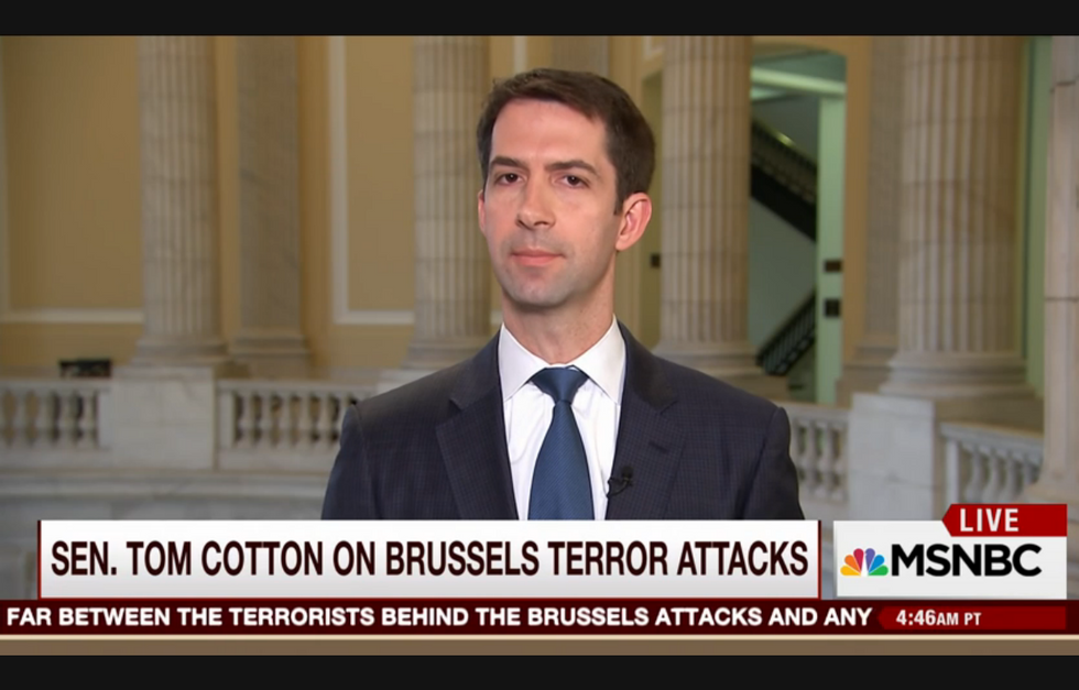 Sen. Tom Cotton Bashes Obama’s ISIS Strategy, But Wouldn’t Do Anything Differently