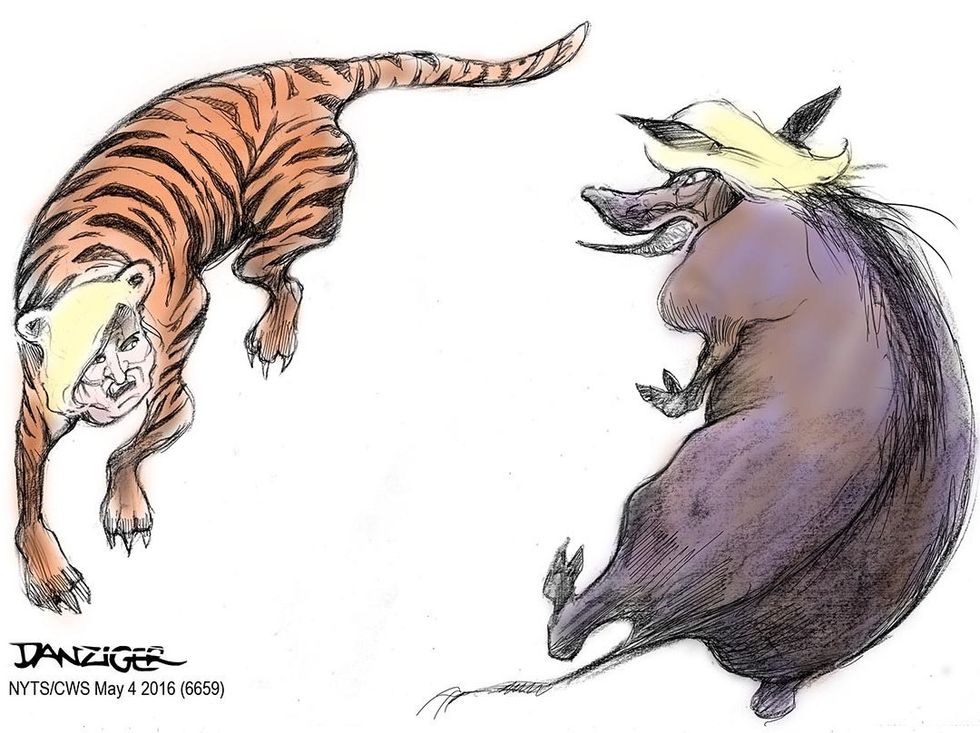 Cartoon: Tiger Versus Warthog