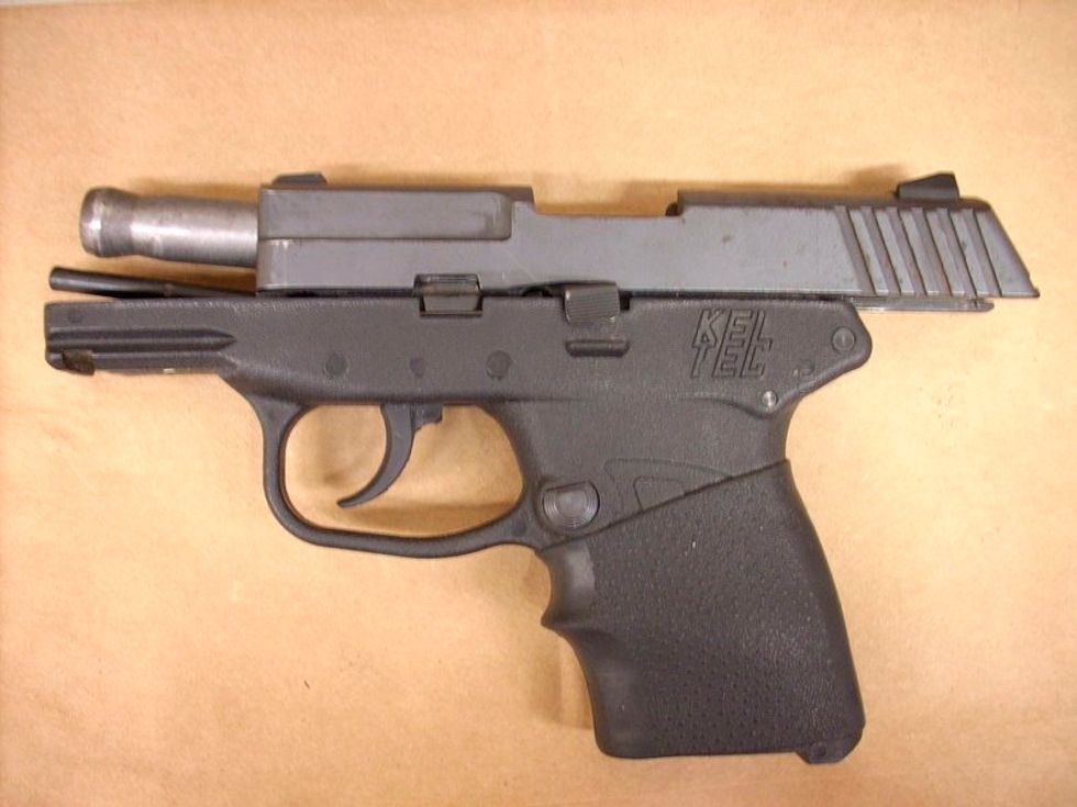 Zimmerman To Auction Gun Used To Kill Trayvon Martin