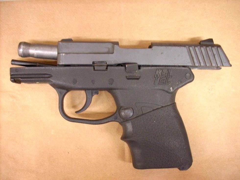 Zimmerman To Auction Gun Used To Kill Trayvon Martin