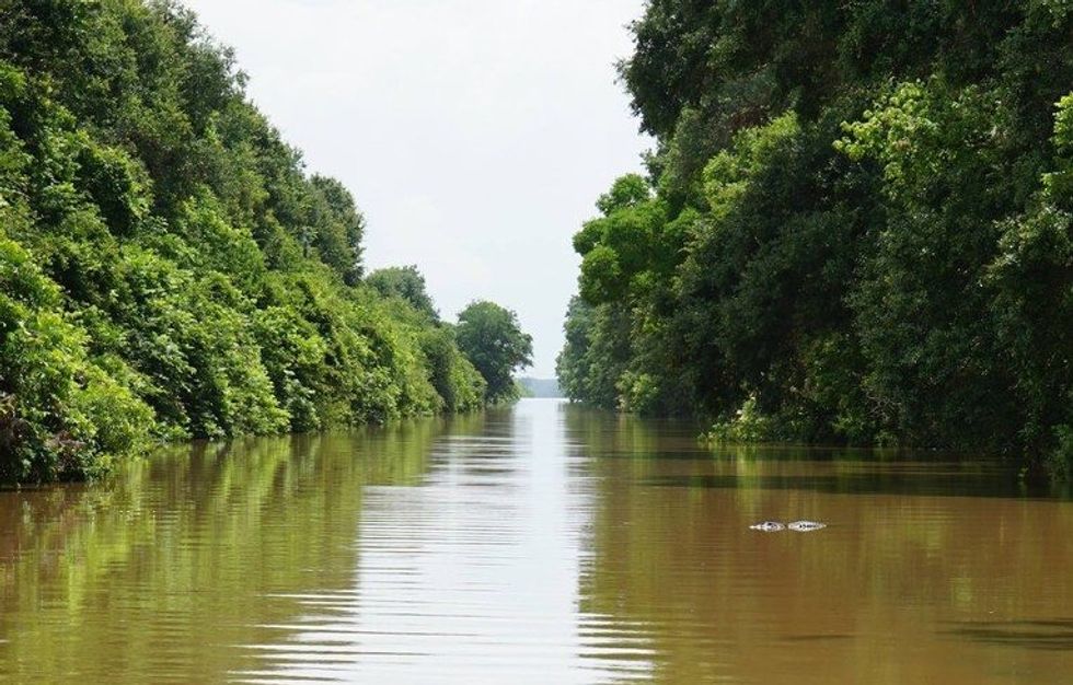 Louisiana, Mississippi Areas Under Flood Watch As Texas Floods Spread