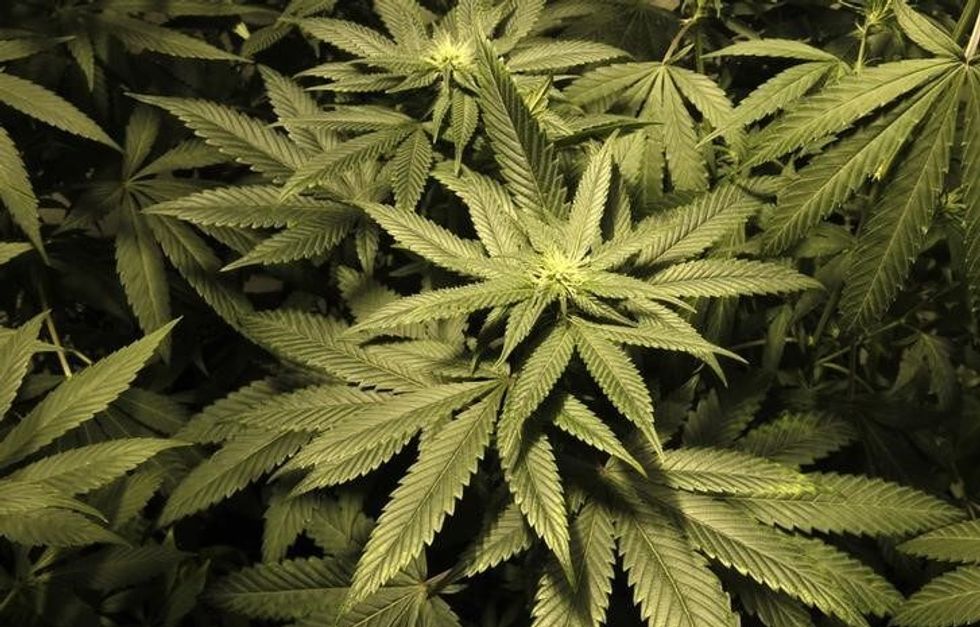 Ohio Governor Signs Bill Legalizing Medical Marijuana