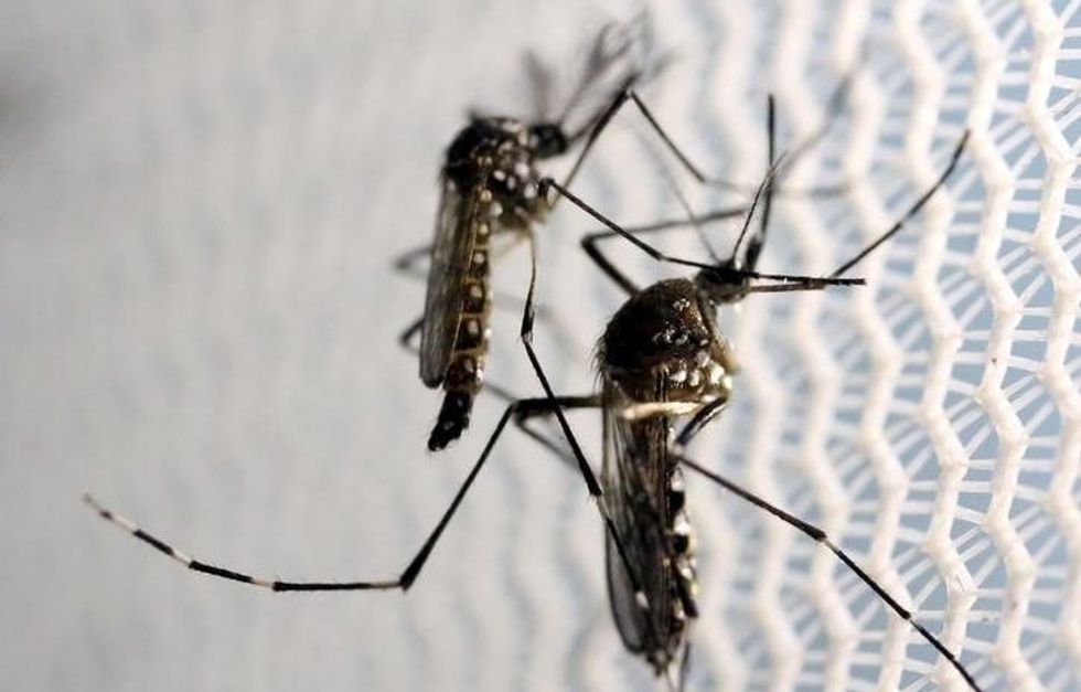 EXCLUSIVE: When Republicans Sabotage Zika Funding, Local Health Departments Suffer