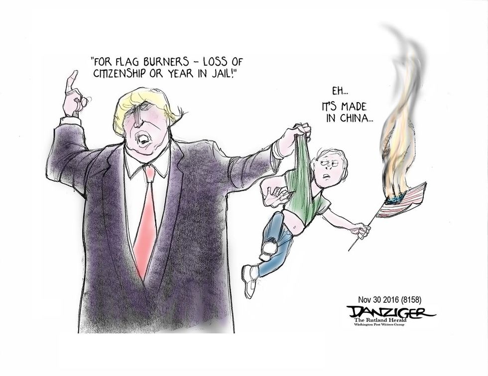 Cartoon: Those Flag Burners