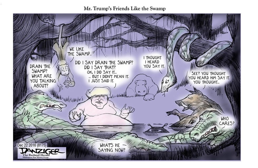 Danziger: Swamp Things