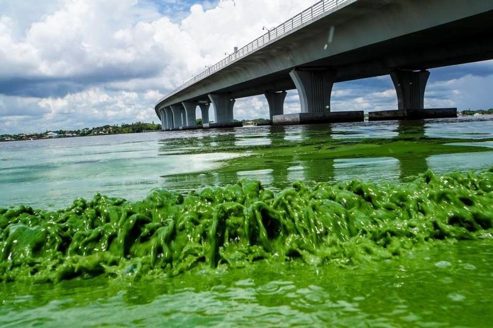 Big Sugar’s Slime Flows North To The Capitol