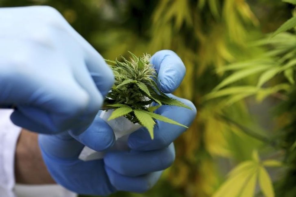Should Your Insurance Company Pay For Medical Marijuana? Judges Are Starting To Rule That Way