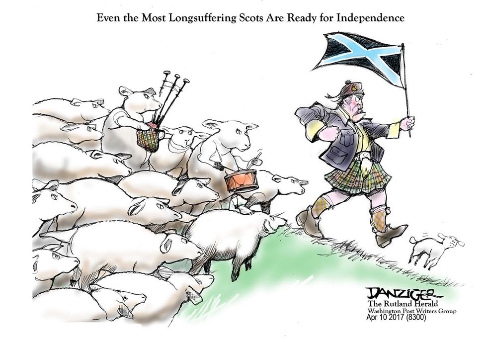 Danziger: The Wee Sheepies Hate Brexit