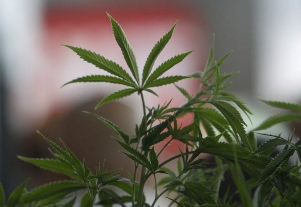 5 Big Investors Diving Deep Into The Marijuana Industry