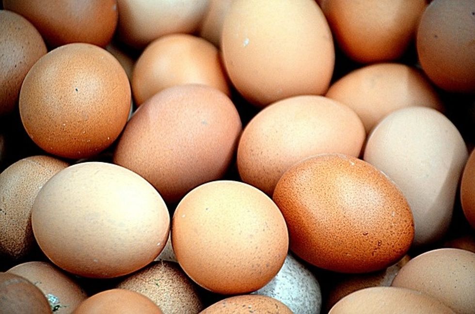 Egg Company Execs Jailed Over Salmonella Outbreak