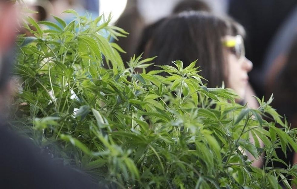 Three New Studies Bust Marijuana Myths