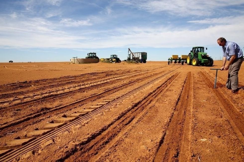 Trump Turns Farmers Into A Sacrifice