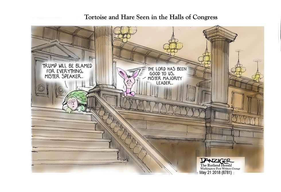 Danziger: The Elephant In The Room