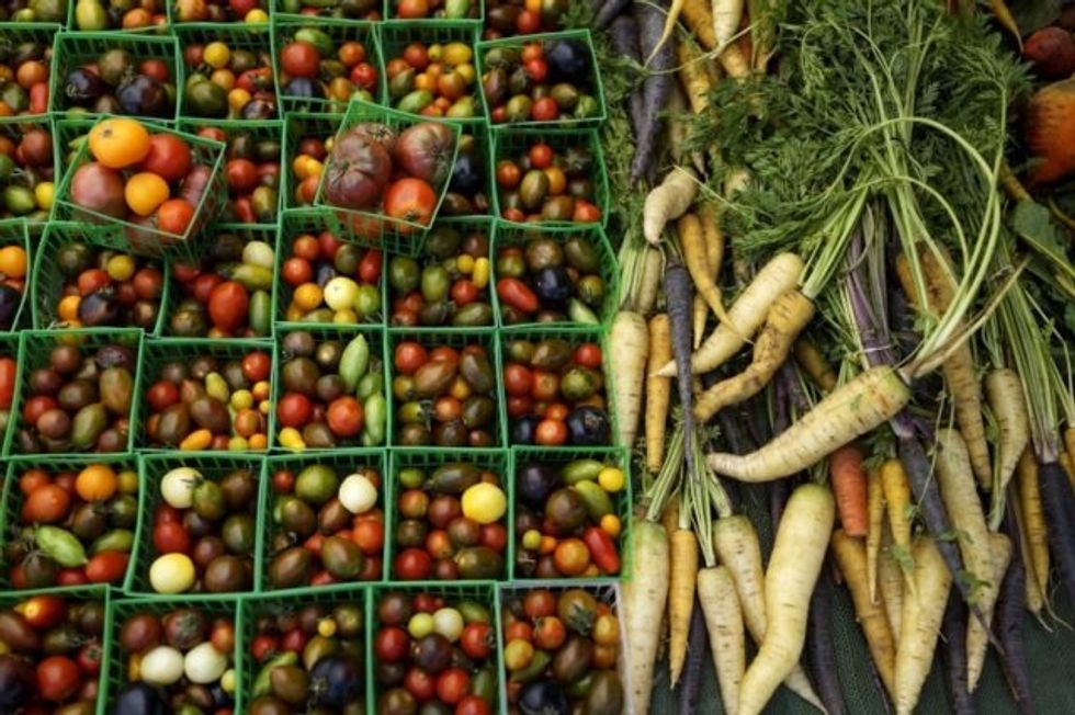 ‘It’s Like A Diet’: Ag Secretary Mocks Farmers’ Trade Losses