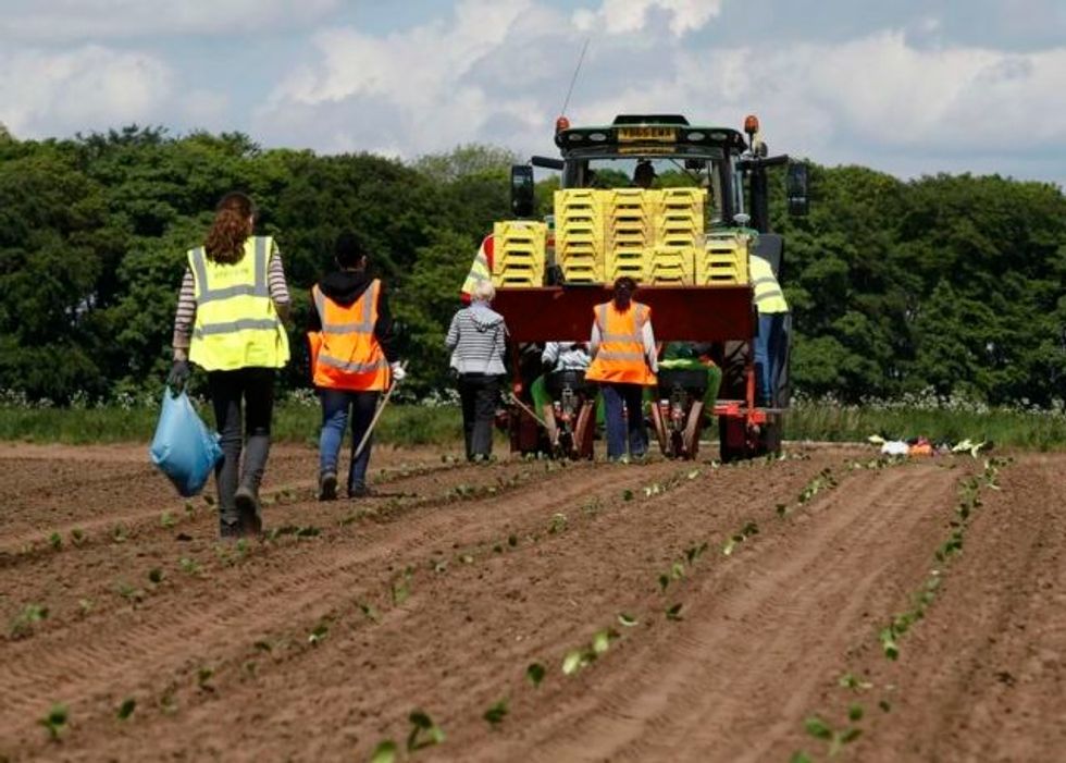 How The Farmers Sought To Block Foreign Interference In US Elections