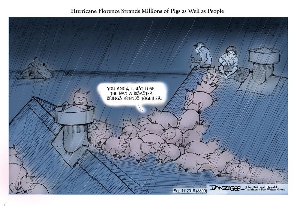 Danziger: High Water Hogs