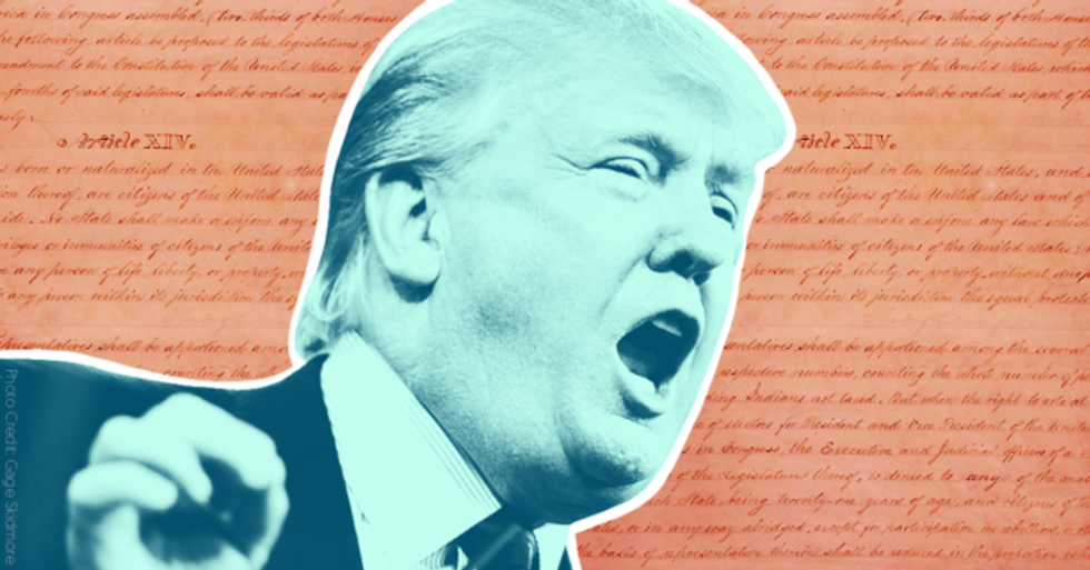 Trump Plan To End Birthright Citizenship Excites Neo-Nazis And Far Right