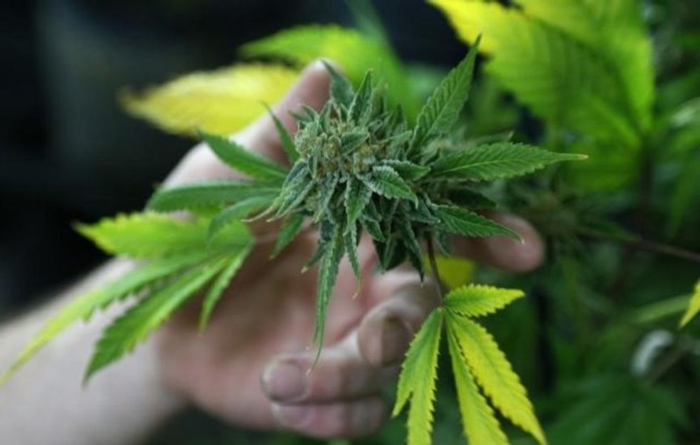 The Growing Consensus For Legalizing Marijuana