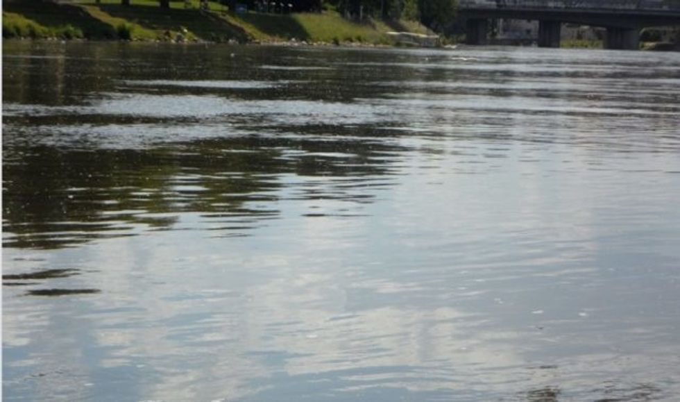 Geologic Agency Unable To Determine Whether Huge Outpouring Of Pig Waste Fouled Scenic River