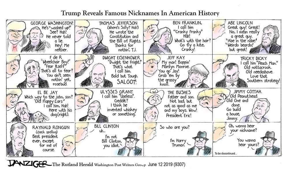 Danziger: History For Dummies