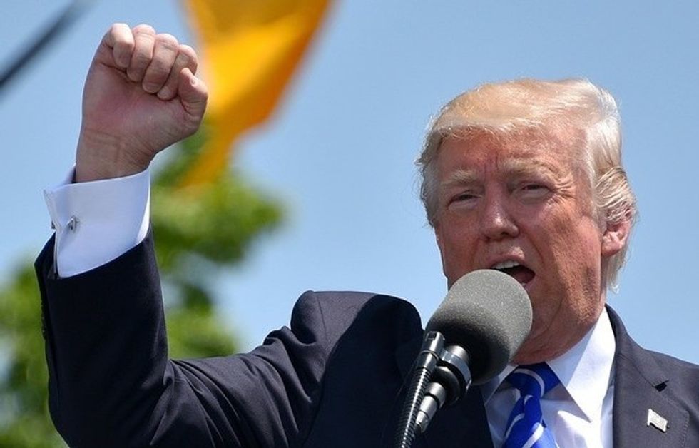Trump Attacks Yovanovitch Over Failure To Display His Portrait (Not Her Fault)