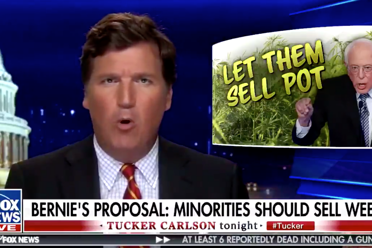 Tucker Carlson: BERNIE'S ARMY OF POT-SELLING BLACK KIDS IS COMING! AND THEY'VE GOT A BUSINESS LICENSE!