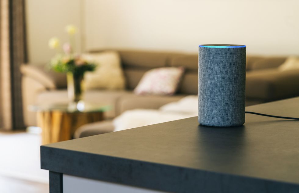 voice controlled speaker and personal voice assistant at home