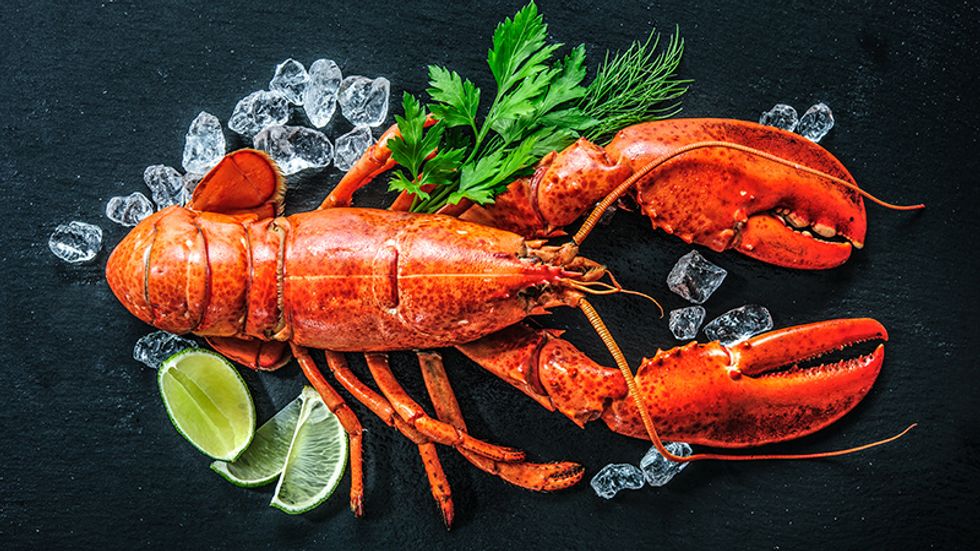 Freshly cooked red lobster.