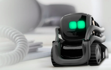 anki vector new edition 2019