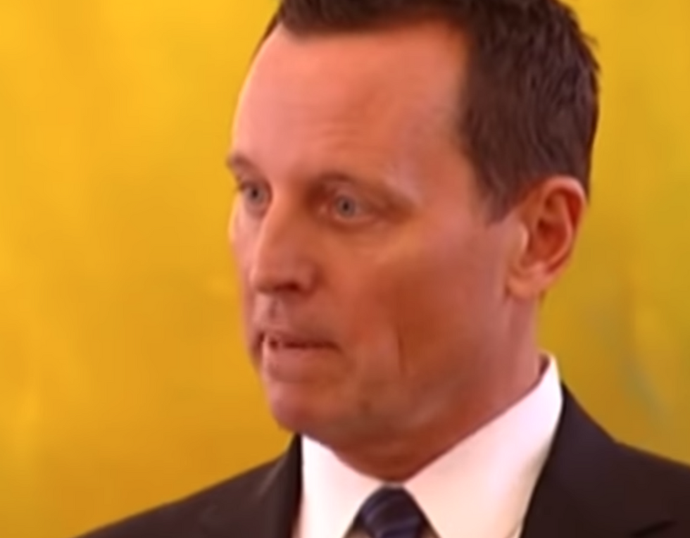 Acting DNI Grenell Worked Secretly For Hungary’s Far-Right Regime