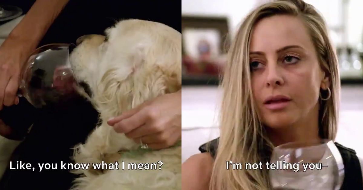 'Love Is Blind' Contestant Causes Concern Among Animal Lovers After Letting Her Dog Drink Wine Out Of Her Glass On The Show