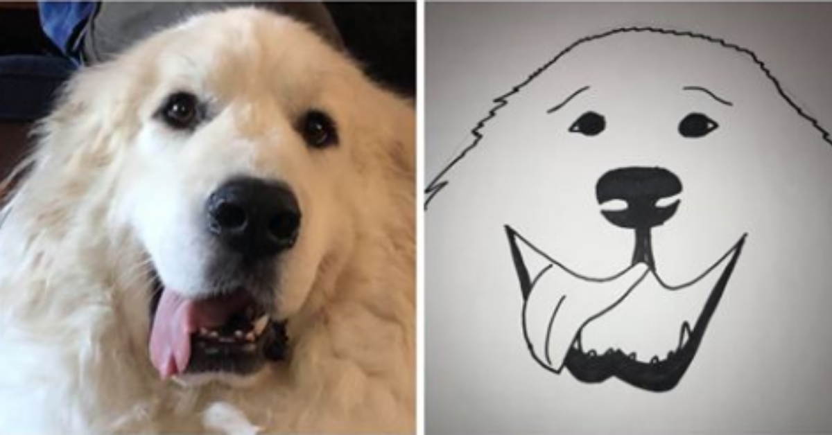 Wisconsin Humane Society Raises Over $12,000 By Offering To Draw Hilarious 'Masterpieces' Of People's Beloved Pets