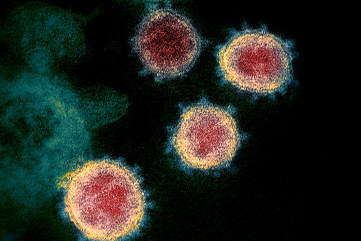 Trump Acknowledges First Coronavirus Death While Still Insisting It's All A Hoax