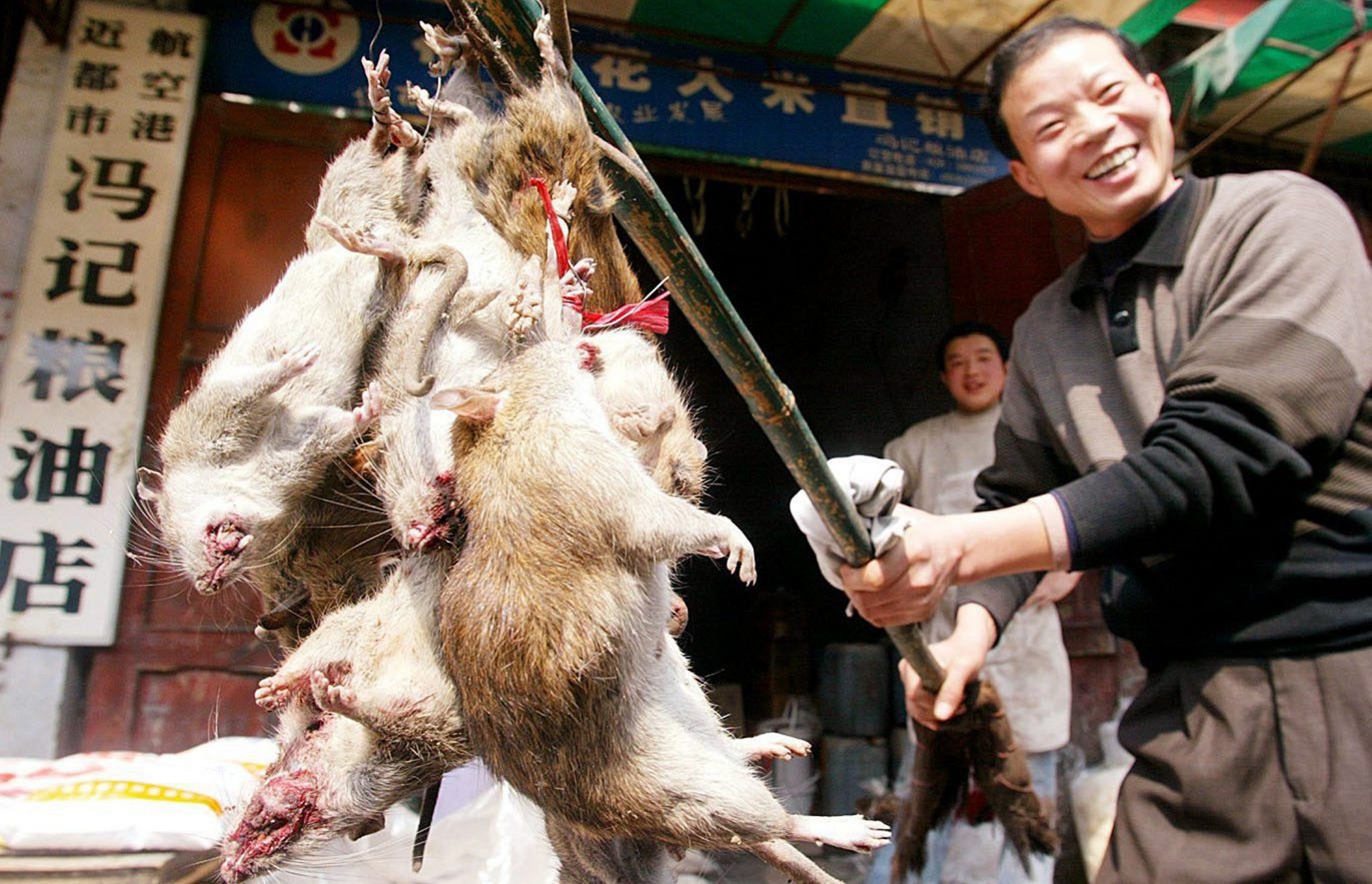 Giocare con la natura per edonismo è la perversione della globalizzazione